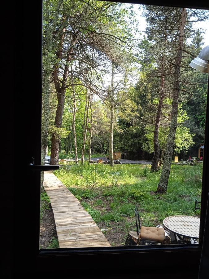 Chalet Cricri Domaine De La Mamounette Champclause Ngoại thất bức ảnh